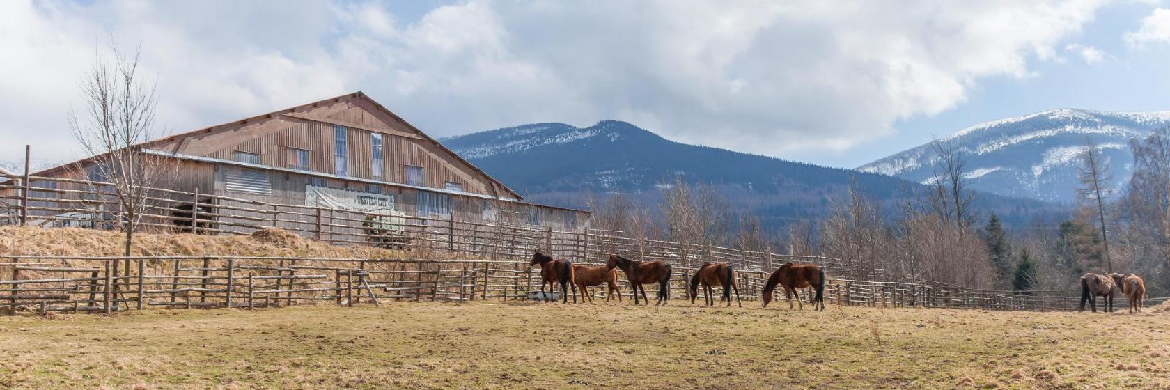 Miasteczko z Dzikiego Zachodu